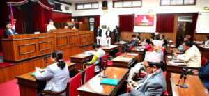 नेपाल विशेष सेवासम्बन्धी विधेयक दफावार छलफलका लागि समितिमा पठाइयो